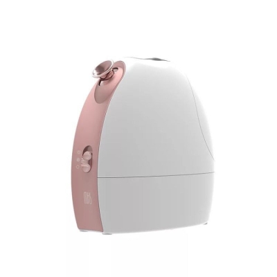 Hot and Cold Spray Fruit and Vegetable Steaming Face Device Nano Spray Water Replenishing Instrument Beauty Instrument, CN Plug(Rose Gold)
