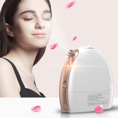 Hot and Cold Spray Fruit and Vegetable Steaming Face Device Nano Spray Water Replenishing Instrument Beauty Instrument, CN Plug(Rose Gold)