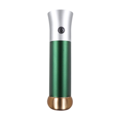 ZY2105 Household Hand-Held Moisturizing Device Facial Beauty Device(Green)